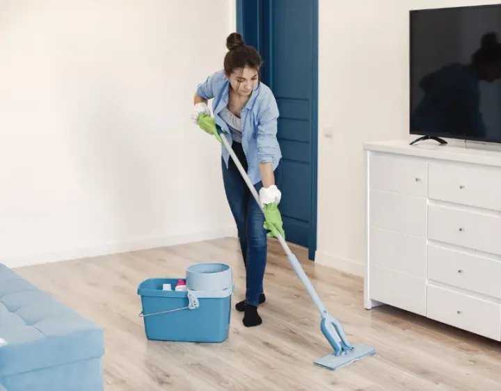 Femme de ménage Ratières